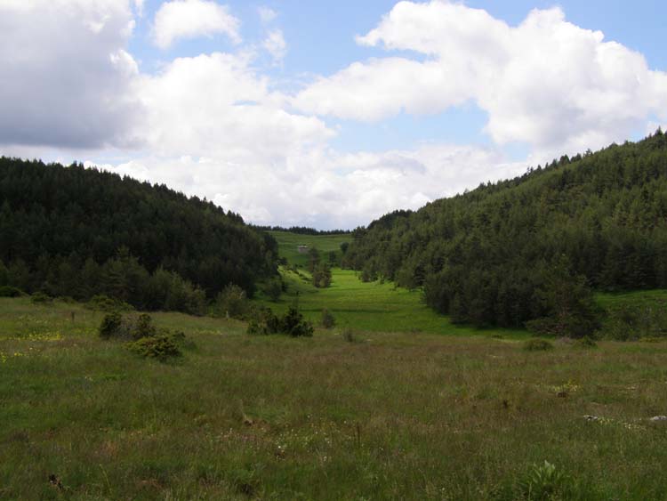 P6140423