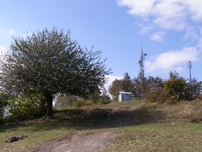 PA100276