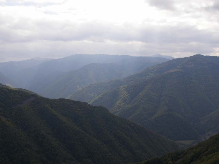 PA100278