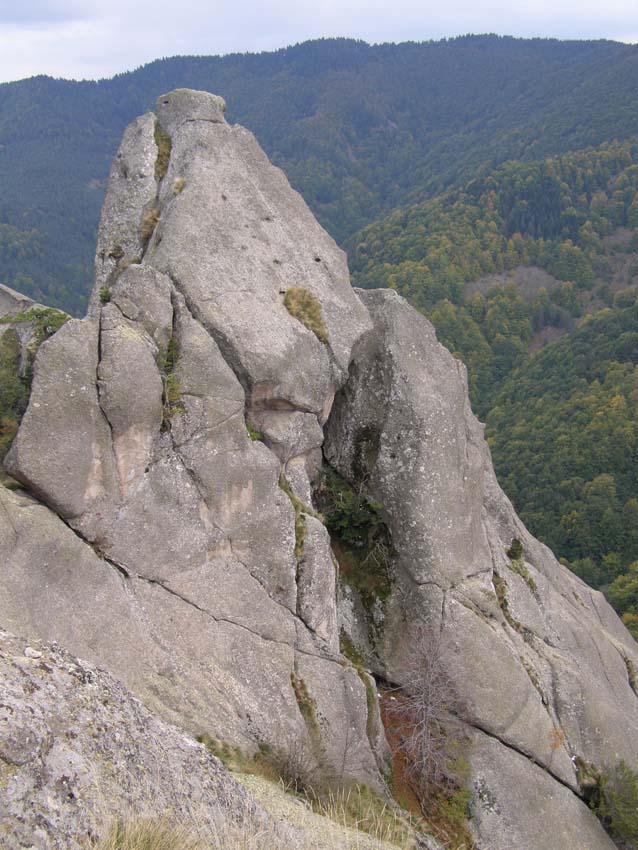 PA100296