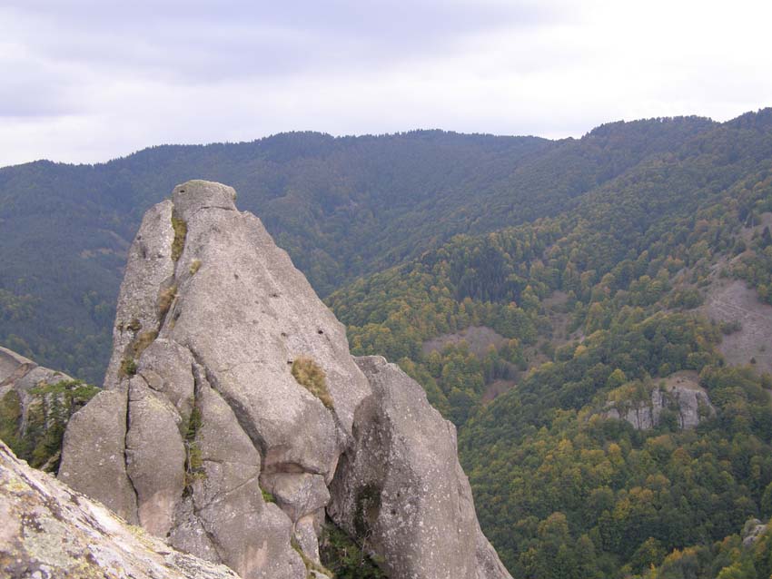 PA100297
