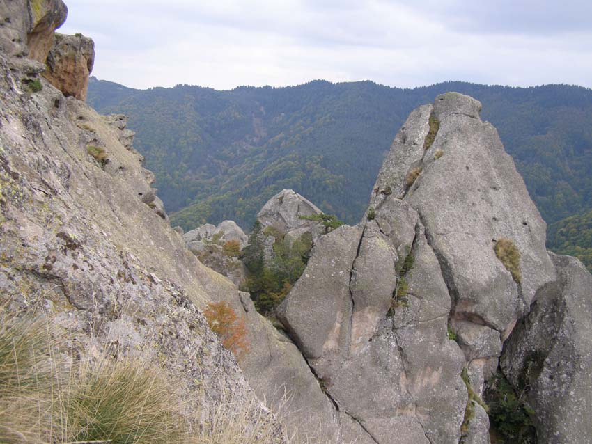 PA100298