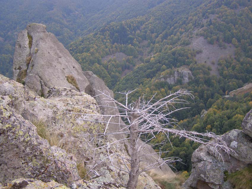PA100299