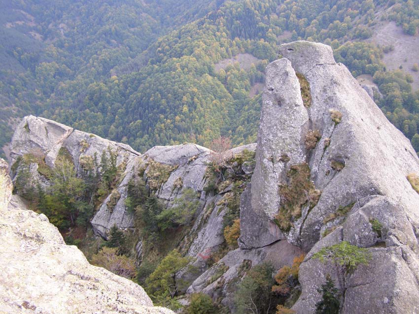 PA100307