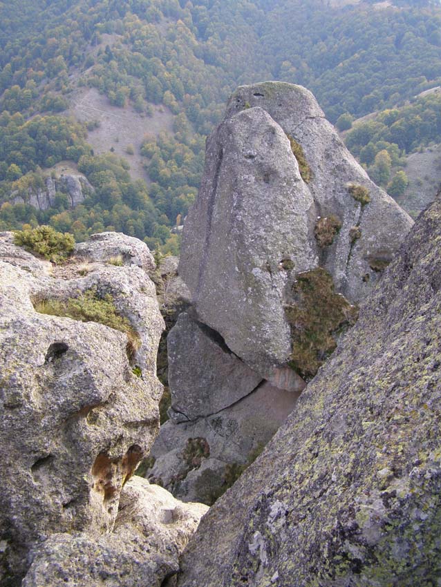 PA100309