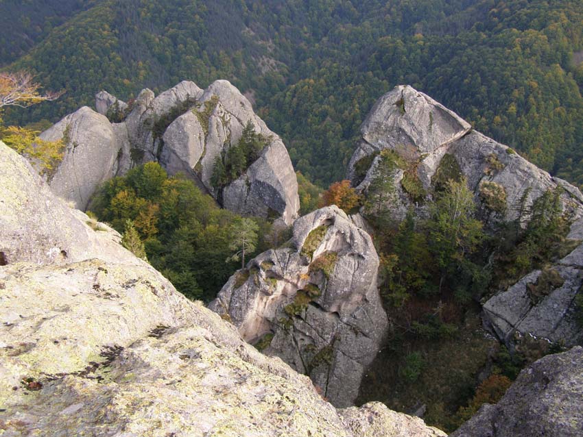 PA100310