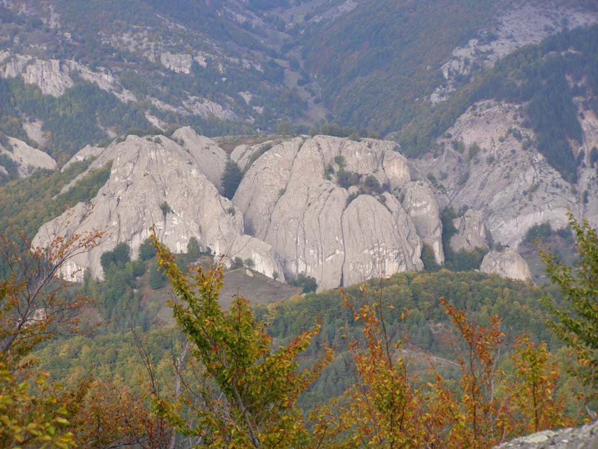 PA100311
