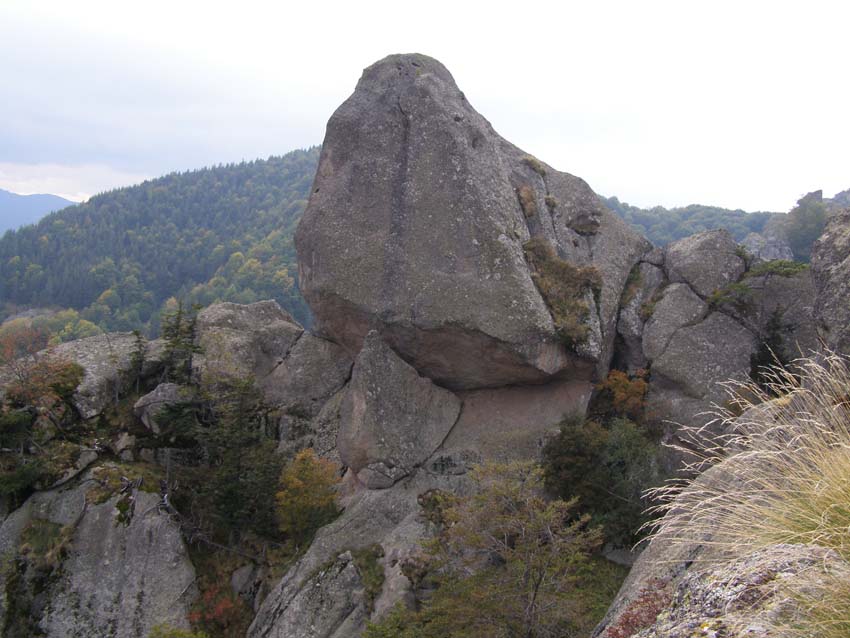 PA100316