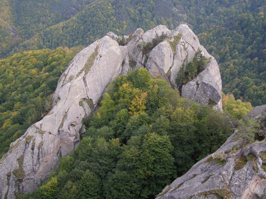PA100317