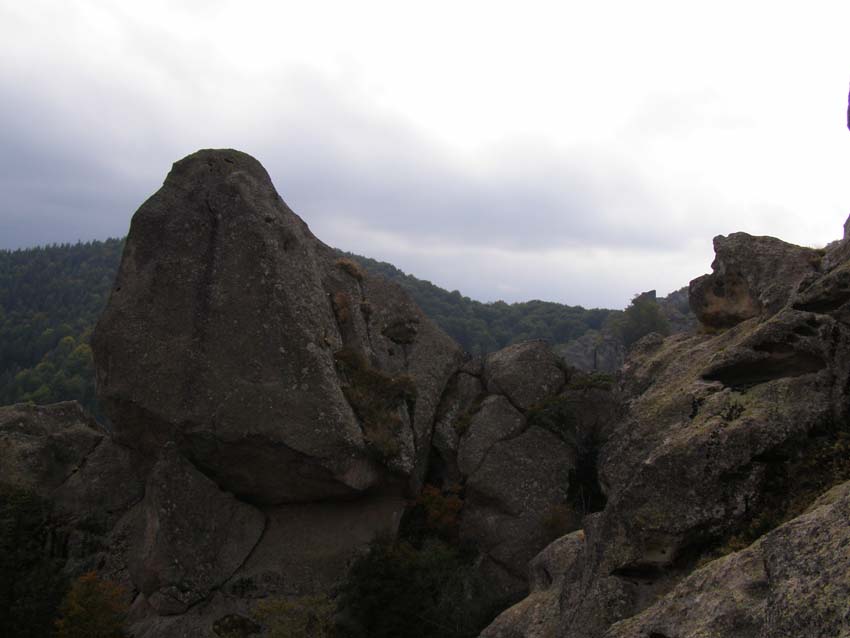 PA100318