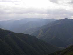 PA100278