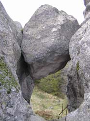 PA100295