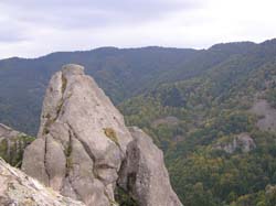 PA100297