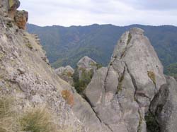 PA100298