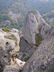 PA100309
