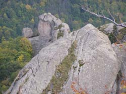 PA100315