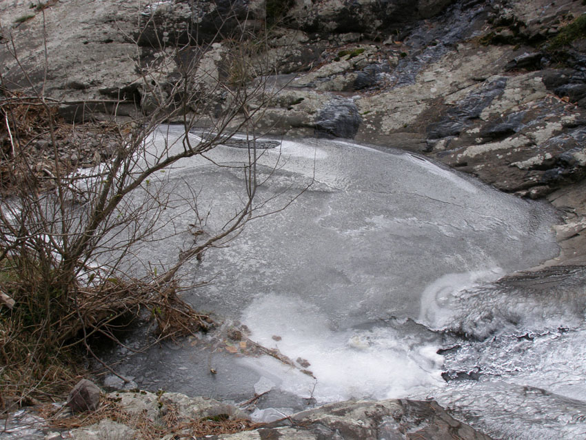 PC120229