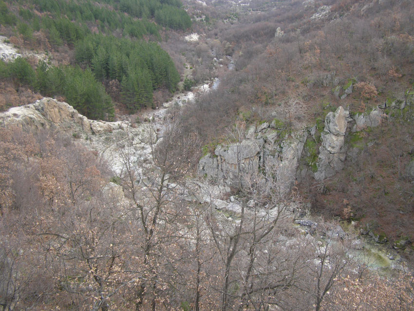 PC110059