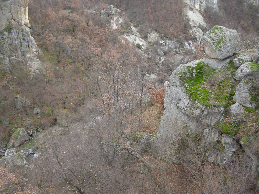 PC110061