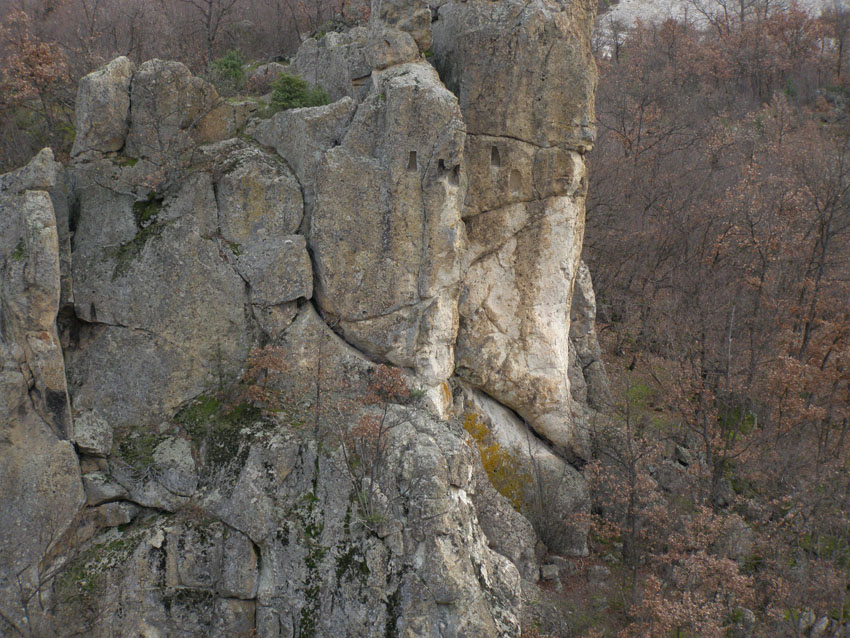 PC110066