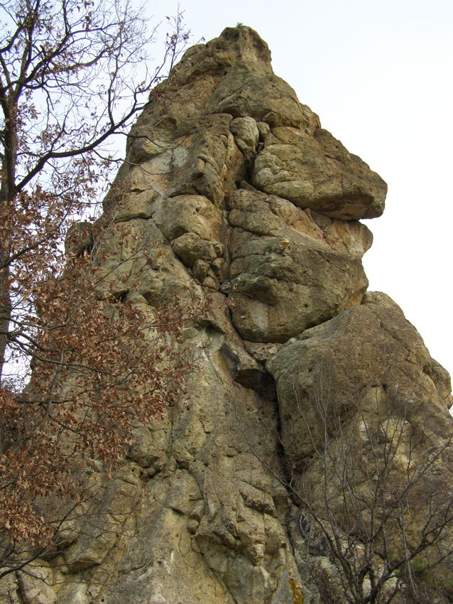 PC110073