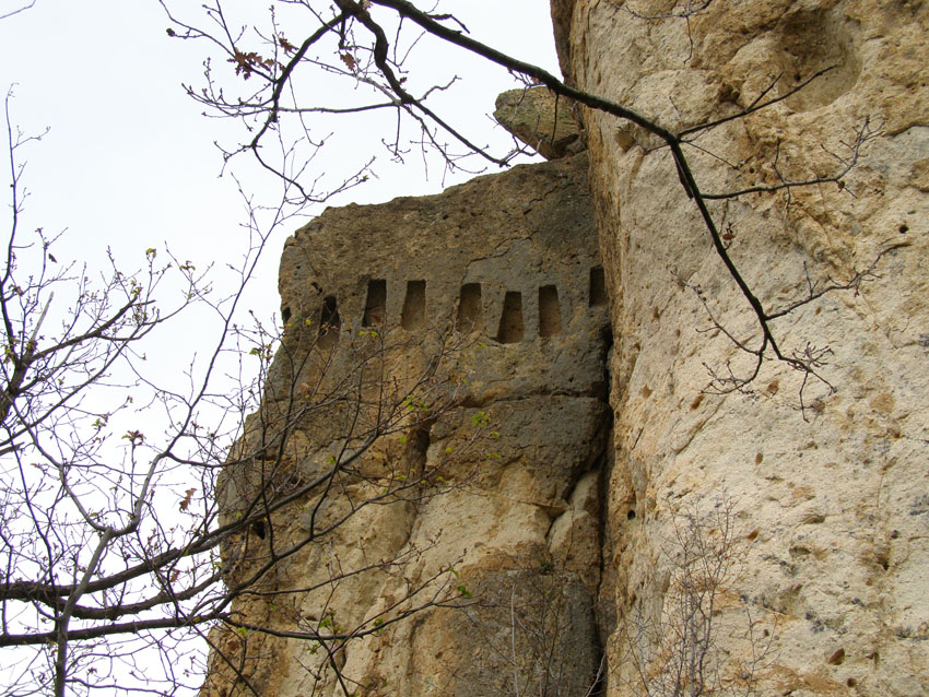 PC110078