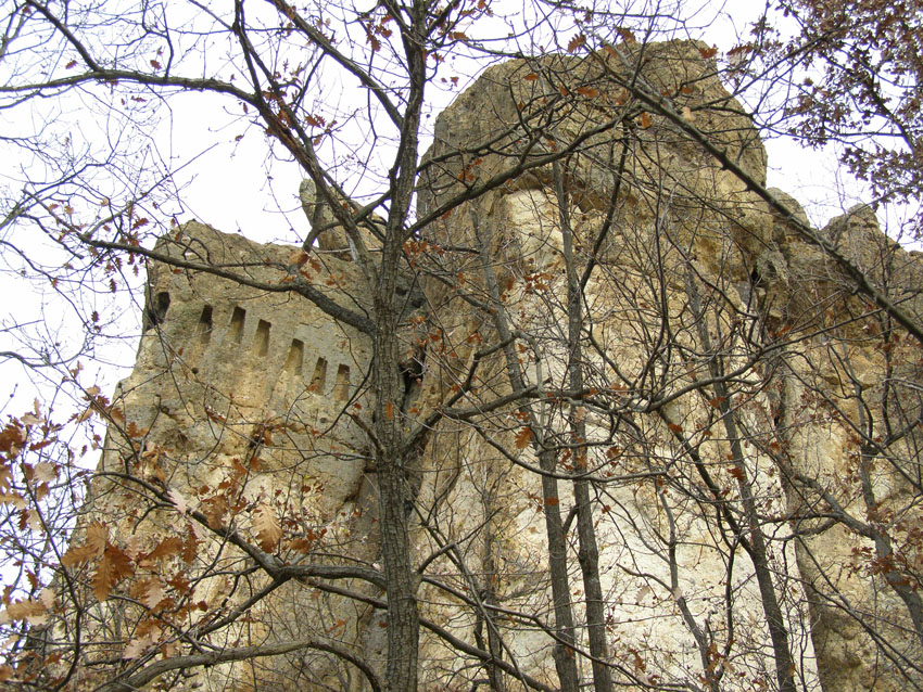PC110079
