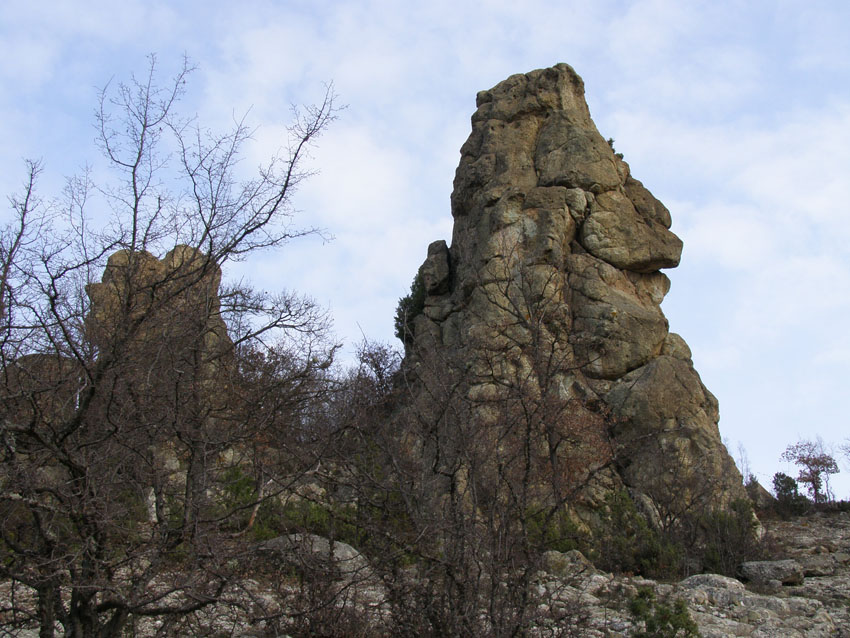 PC110090