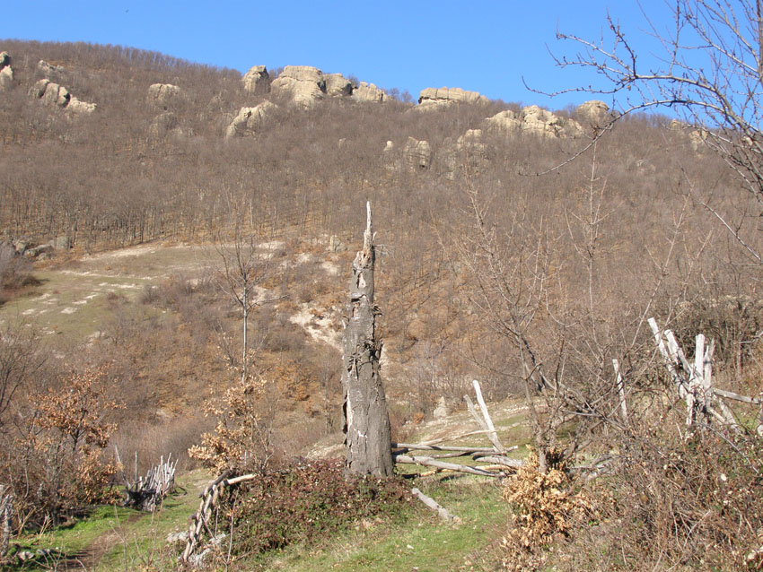 P1010353