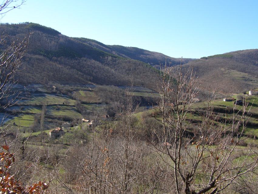 P1010355