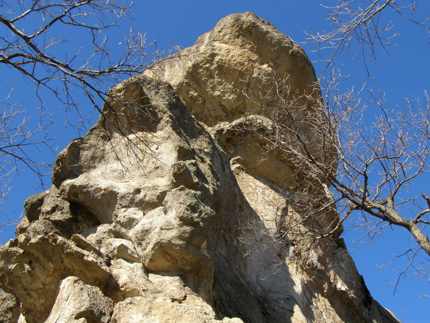 P1010359