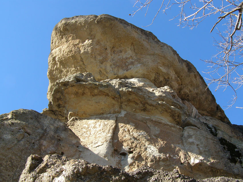P1010361