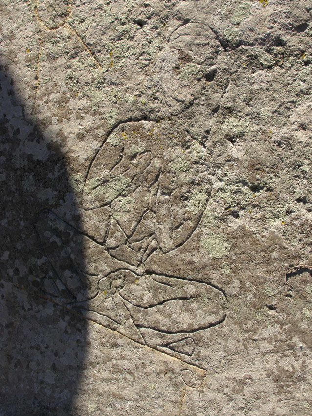 P1010362