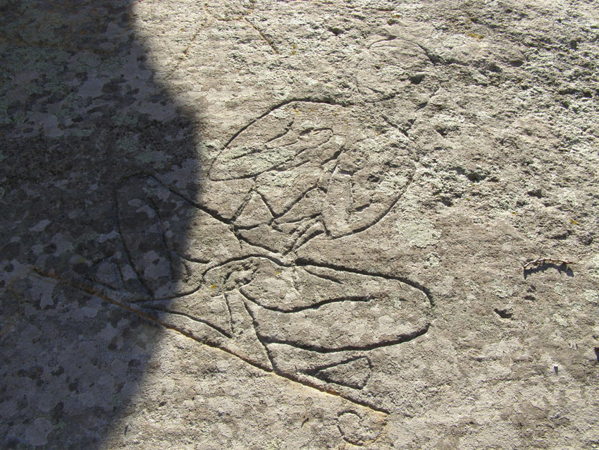 P1010363