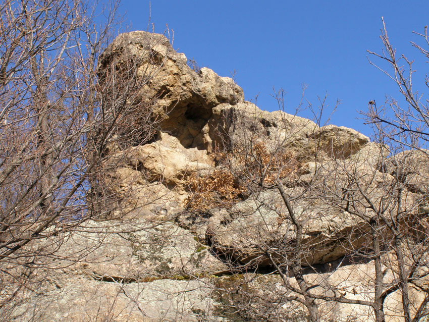 P1010365