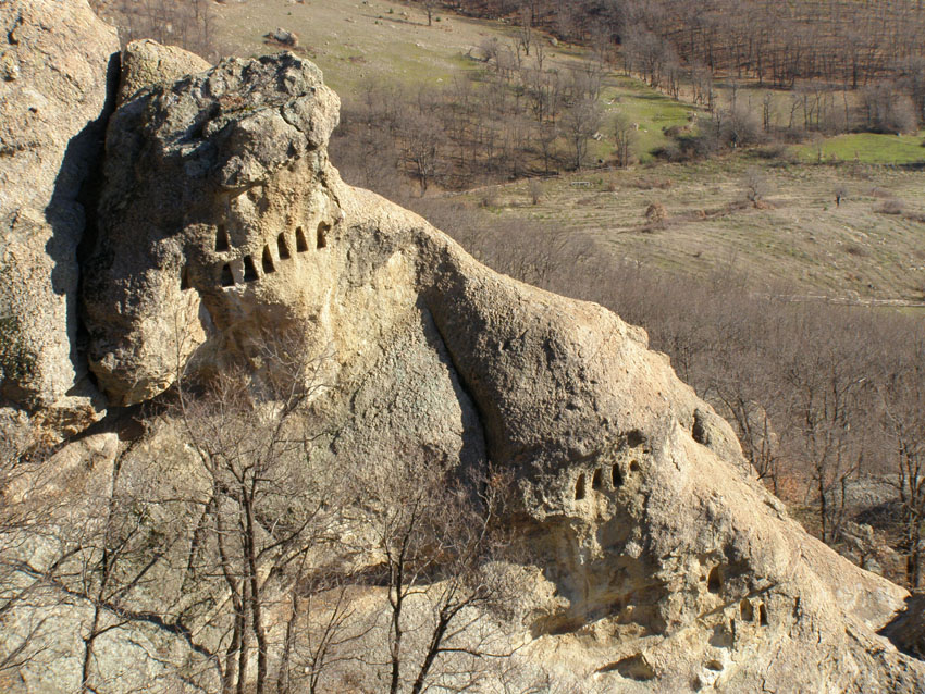 P1010368