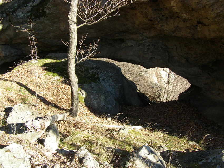 P1010373