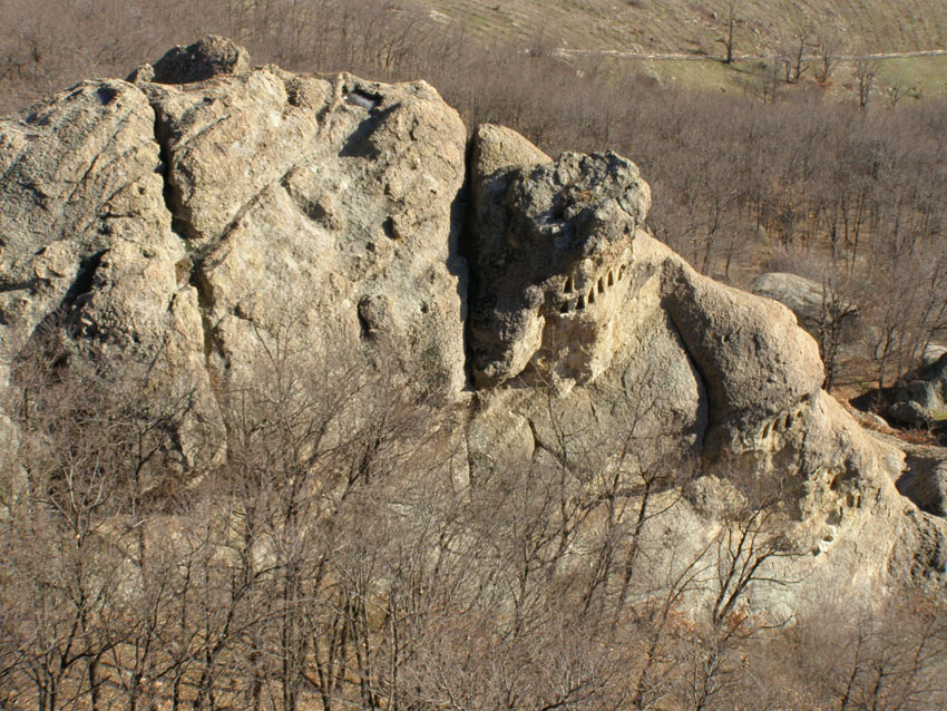 P1010374