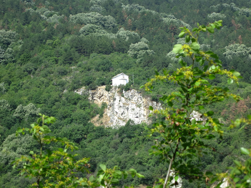 IMG_1542
