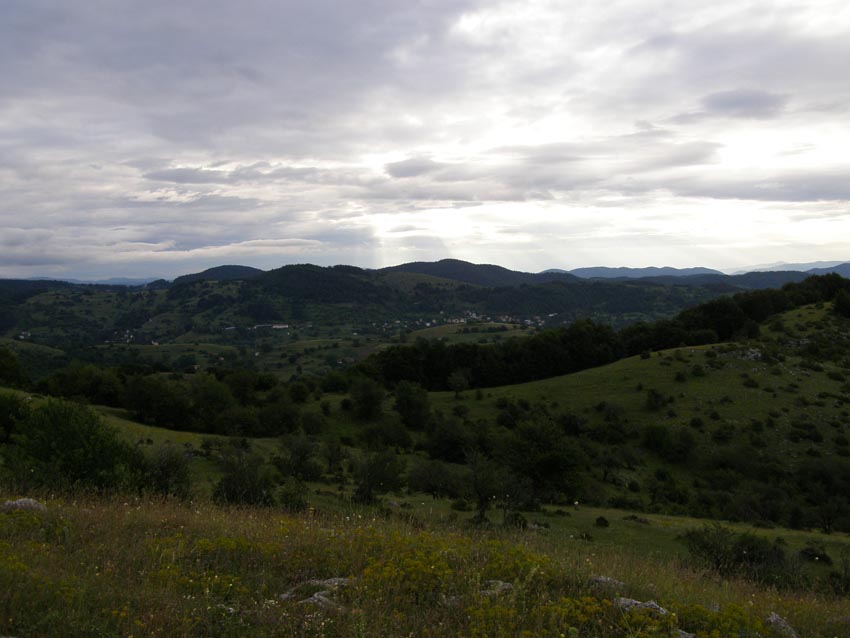 P6241342