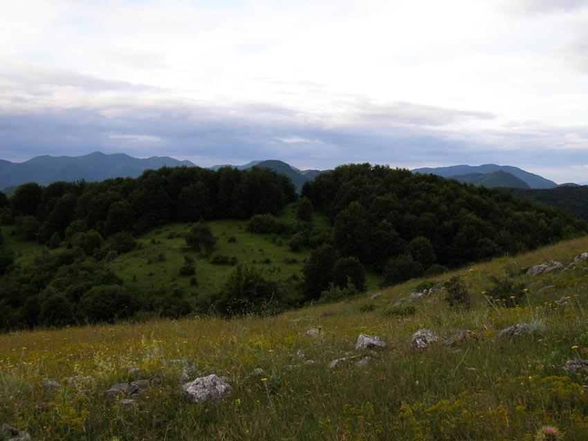 P6241343