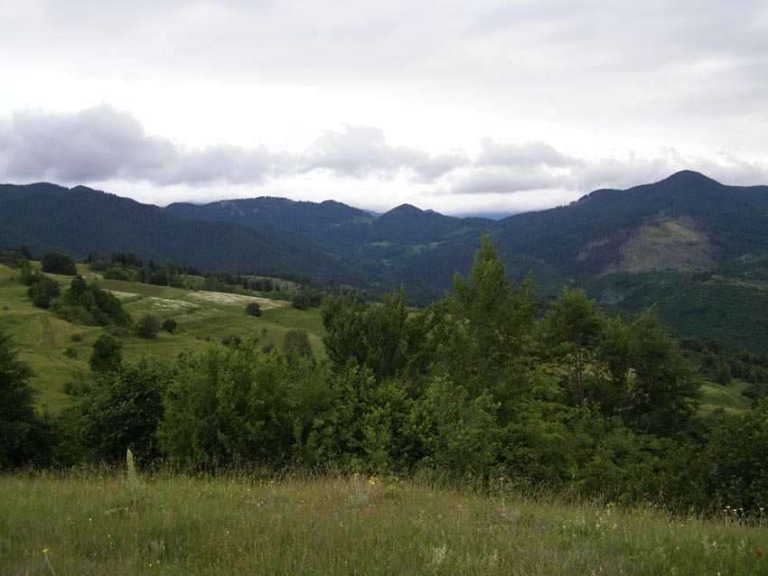 P6241349