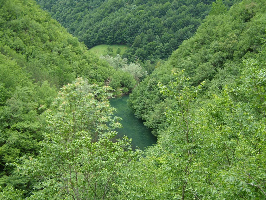 P6250061