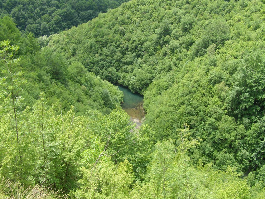 P6250063
