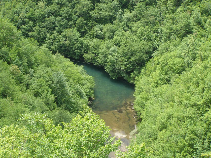 P6250064