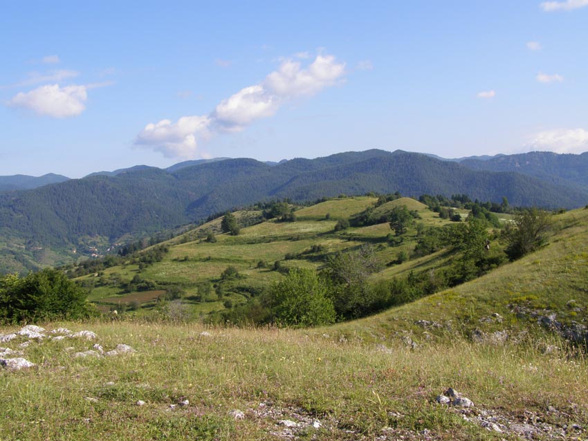 P6260067