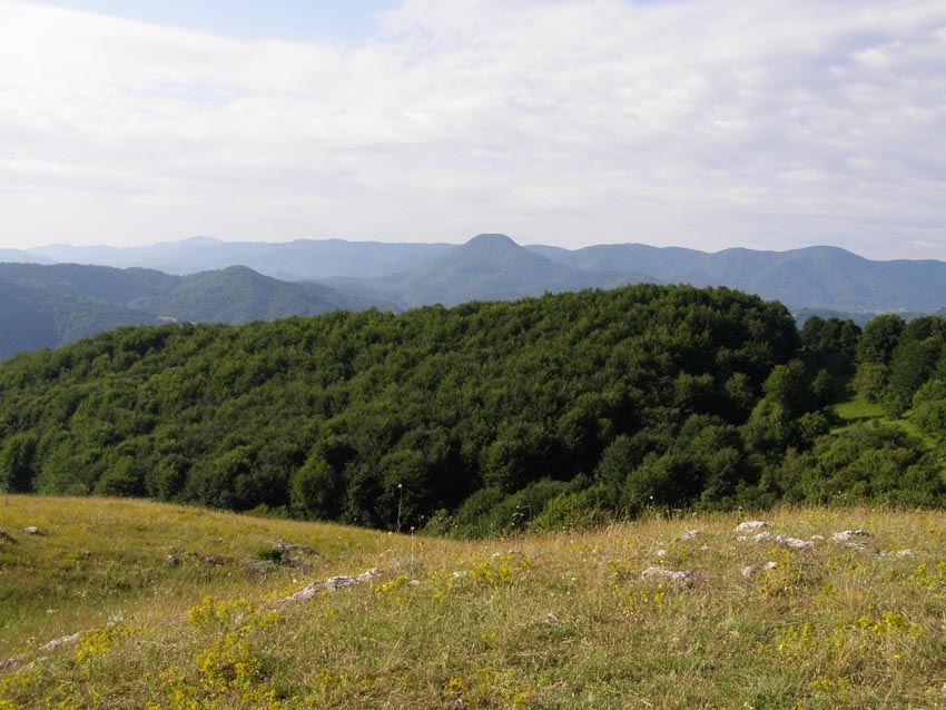 P6260069