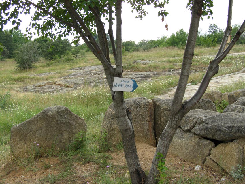 P6270079