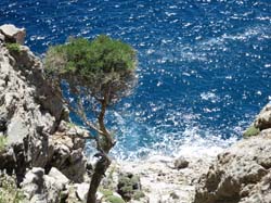 ���� ����� � ������ - ������ ���������, ���� ���� 4, ���� ���� 3, ��������� ����, ����� ���� ������������ �� ����� 27.05.2013 