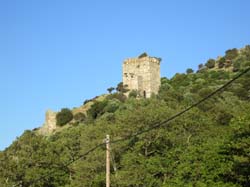 IMG_1076